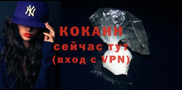 МДПВ Няндома