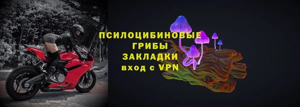 стаф Абинск