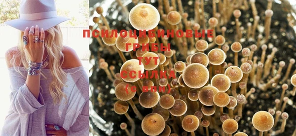 прущий лед Нягань