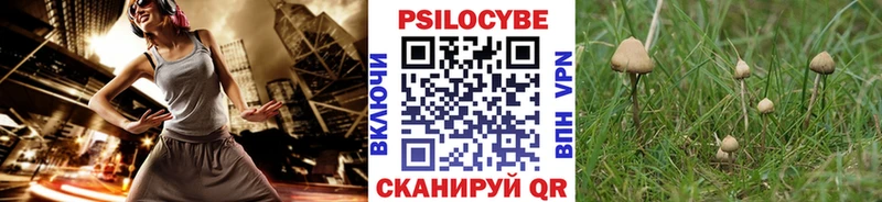 Галлюциногенные грибы Magic Shrooms Серафимович