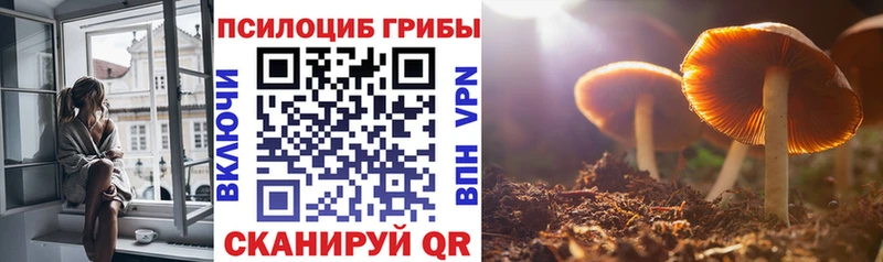 где можно купить наркотик  Серафимович  блэк спрут маркетплейс  Галлюциногенные грибы Magic Shrooms 